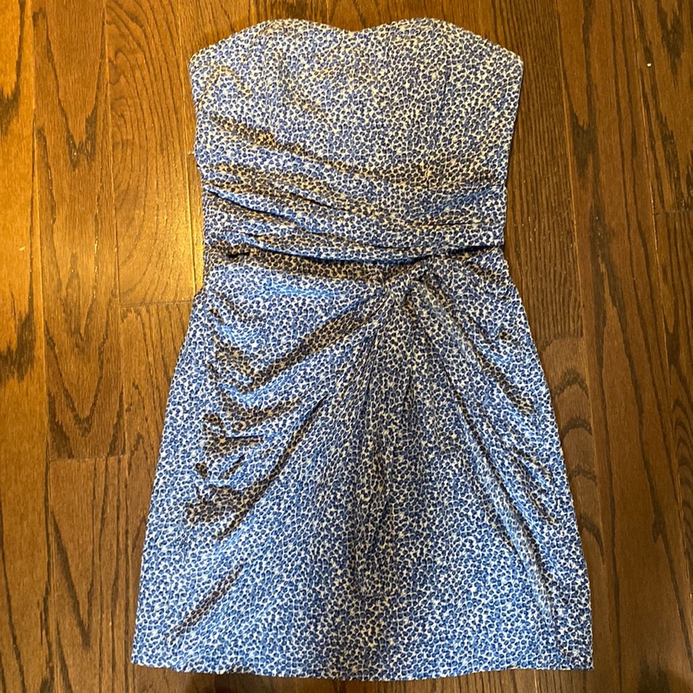 Club Monaco Silk Dress